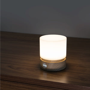 Rechargeable Night Lamp Dimmable with Rotatable Shutdown Timer