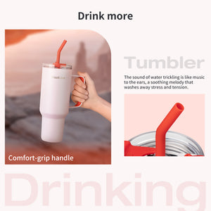 BlacKube 1.2L Stainless Steel Leak-Proof Thermo Travel Tumbler Gift Pack – Peachy Bubbles