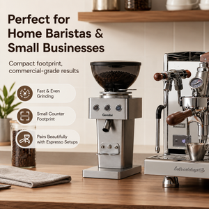 Gemilai Electric Coffee Grinder 64mm Flat Burr Espresso Single Dose Steel